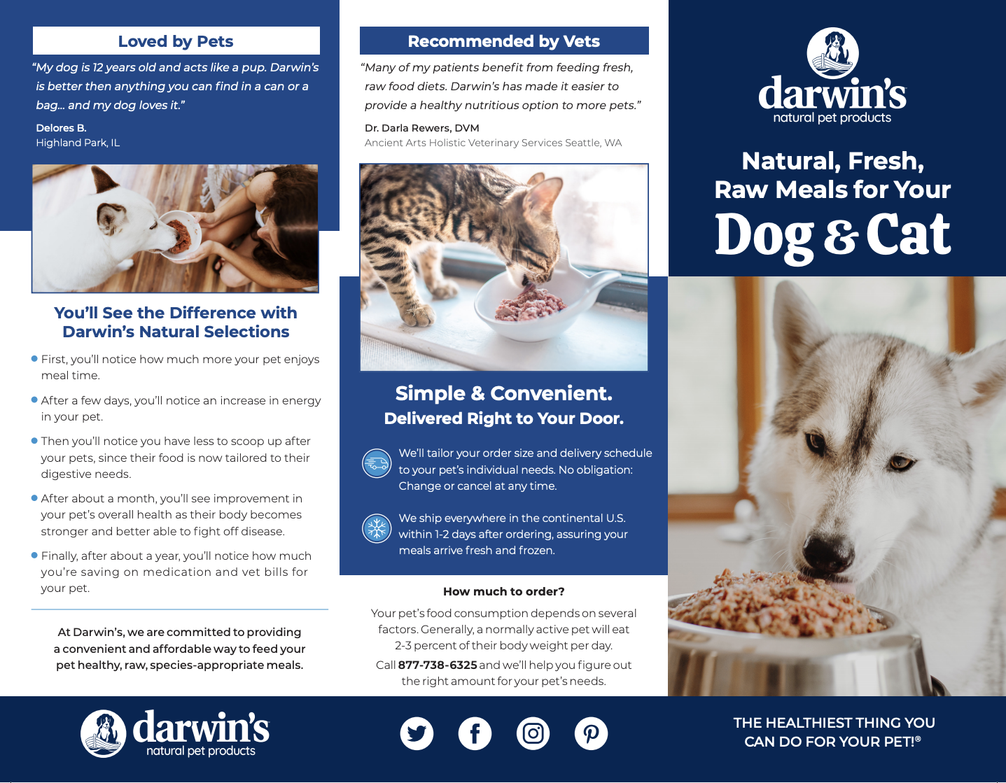 Case Study Darwin's Pet Designity